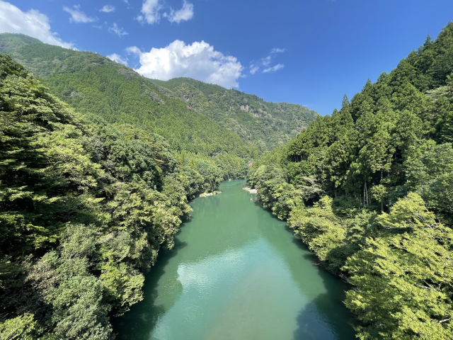 深い緑に囲まれた渓谷を流れる、透き通った川。自然の静けさを感じる風景です。